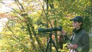 Video tutorial SWAROVSKI OPTIK Digiscoping camera adapter TLS APO for ATXSTX spotting scopes [upl. by Akkim950]