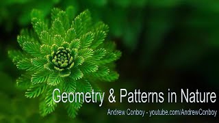 Patterns in Nature  Symmetry Fractals amp Geometry [upl. by Nelloc]