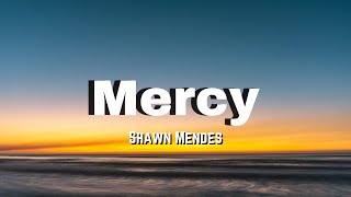 Shawn Mendes  Mercy  LYRICS VIDEO [upl. by Arturo]