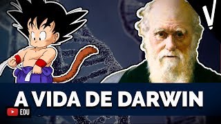 A EVOLUÇÃO DE DARWIN  Biologia [upl. by Enilraep794]