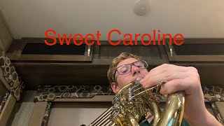 Sweet Caroline on French horn [upl. by Notserp]