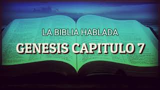 BIBLIA HABLADA GENESIS CAPITULO 7  REINA VALERA 1960 [upl. by Alrick]