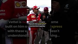 When Sebastian Vettel Sacrificed His Formula 1 Race For The Seagulls [upl. by Noned]