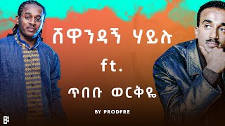 Shewandagne Hailu ft Tibebu Workyie  ሸዋንዳኝ ሃይሉ ft ጥበቡ ወርቅዬ  Mashup [upl. by Ennayoj]