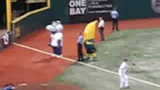 Its Peanut Butter Jelly Time at the Tampa Bay Rays Game [upl. by Weathers]