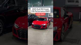 Audi R8 Cold Start V10 Performance RWD [upl. by Lelith]