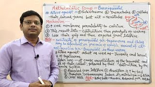 Anthelmintic Drugs Part06 Final Niclosamide amp Praziquantel Mechanism of Action  Anthelmintic [upl. by Turnbull]