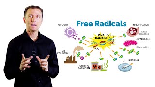 What Is Oxidation – DrBerg on Free Radicals and Antioxidants [upl. by Watt]