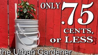 SELFWATERING containers  ONLY 75 cents or LESS [upl. by Atokad]