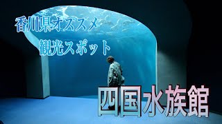 【香川県観光】「水族館はそんなに…」と言う方でも楽しめる！？行って楽しい水族館✨ 国内観光 香川県 旅行 [upl. by Beaner485]