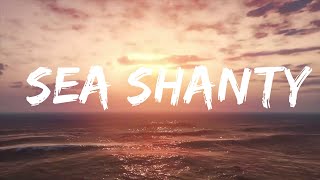 Nathan Evans  Sea Shanty Wellerman Lyrics  Lyrics Video Official [upl. by Haiacim]