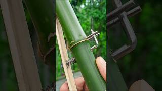 Bamboo creations with Simple Bamboo Idea Bamboo Diy Slingshots Bambooart [upl. by Aretha]