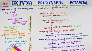 Excitatory Post Synaptic Potential EPSP  Easy Flowchart  Physiology [upl. by Largent217]