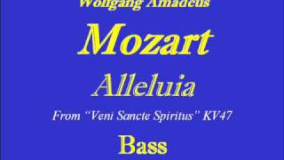 Alleluia KV47 Mozart  Basswmv [upl. by Resor]