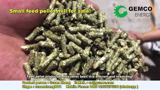 Introducing the Small Pellet Mill Transforming Biomass into Nutritious Feed Pellets [upl. by Ednargel364]