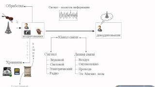 Кодирование информации [upl. by Nesyt999]