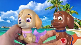 PAW PATROL MAGIC MERPUPS Toys Episodes ❤ Rocky Skye and Zuma spend day at beach [upl. by Ruprecht]