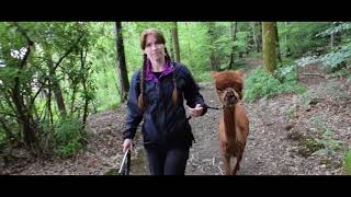 Wild Swimming with Christine and Milky Joe  The Lake District [upl. by Peti]