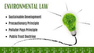 Sustainable Development  Precautionary Principle  Polluter Pays Principle  Public Trust Doctrine [upl. by Critta]