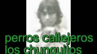 los chunguitossoy un perro callejero [upl. by Colner443]