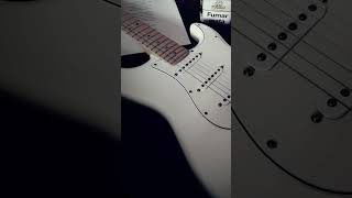 Robert Johnson  Ramblin on my mind cover [upl. by Nywde]