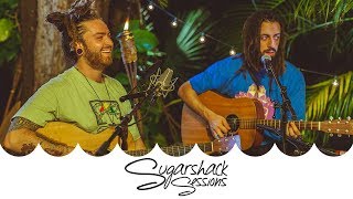 Iya Terra  Movement Live Music  Sugarshack Sessions [upl. by Dutchman]