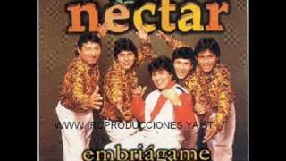 Corazoncito  Grupo Nectar [upl. by Boleyn]