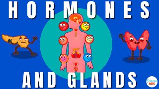 Endocrine System Glands and Hormones [upl. by Eetnahc990]