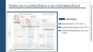 Espectrometria de Luminescência Molecular  Parte 15 [upl. by Stesha]