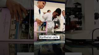 Epithelial Cells  MBBS Students Vlog dailyvlog medicalcollegestudents mbbs ayodhya neet nta [upl. by Menedez]