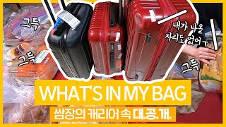 에미레이트 사무장이 한국에서 가져오는것들 공개 Whats in my bag from Korea 남승무원 사무장 가방 [upl. by Nonnahs]