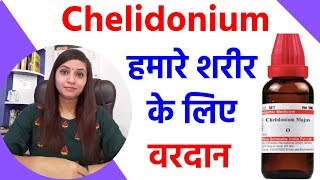 Chelidonium majus  chelidonium q  chelidonium majus q  chelidonium homeopathic medicine [upl. by Mic]