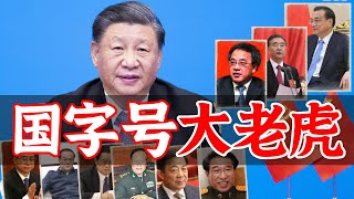 习近平的政敌们 （已陨落） [upl. by Fugazy8]