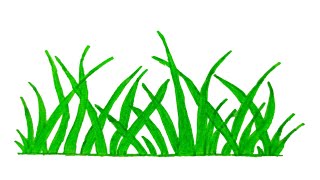 How to draw grass step by step  grass drawing very easy [upl. by Nwahs969]