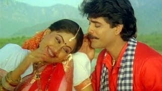 Janaki Ramudu Songs  Chilaka Pachha Thotalo  Nagarjuna  Vijaya Shanthi [upl. by Yeaton]