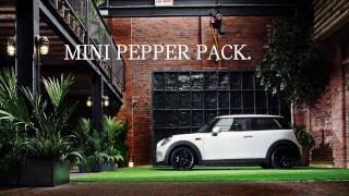 Explanation of what is included in the MINI Hatch Pepper Pack [upl. by Eimarrej]