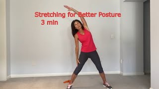 Standing Stretches 3 minutes [upl. by Adrial]