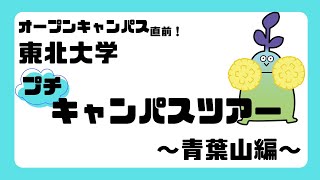 東北大学オープンキャンパス2024 青葉山キャンパス案内 [upl. by Aikem]