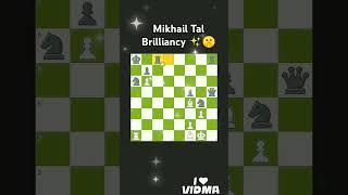 Mikhail Tal Brilliancy ✨🤫 체스 바비피셔 탁월 chess mikhailtal tal [upl. by Htinek]