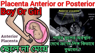 গর্ভে ছেলে না মেয়ে প্লাসেন্টার পজিসন Placenta Anterior Boy Or Girlbabybabyboyboy fhrpregnancy [upl. by Cazzie]