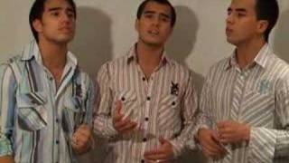 In The Still Of The Night Acapella Cover performed by 3nity Brothers [upl. by Ahsitak462]