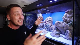 Beginners guide✅best for your aquarium  under 50RS  dont❌miss beginners fishkeeping [upl. by Stempien]