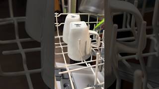 Loading dishwasher… cleaning shorts [upl. by Pentheam]