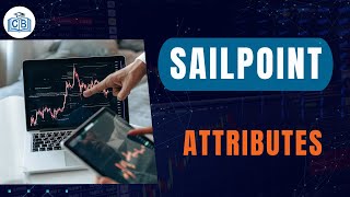 Attributes  Learn Sailpoint  Overview on Sailpoint  Sailpoin for Beginners  Cyberbrainer [upl. by Eralcyram]