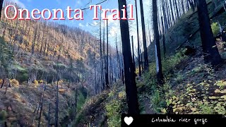 Oneonta Gorge Trail  Columbia river gorge hiking [upl. by Casabonne227]