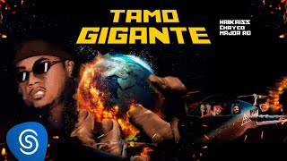 Haikaiss Major RD e Chayco  Tamo Gigante Clipe Oficial [upl. by Nyvlem]