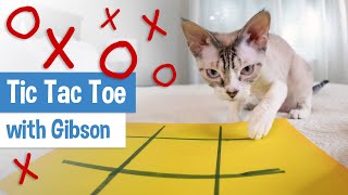 Smart Cat Plays Tic Tac Toe The Tic Tac Toe Song [upl. by Ladiv]