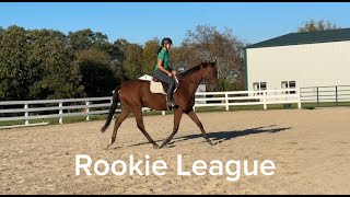 ROOKIE LEAGUE  WTC Adoptable Thoroughbred Mare New Vocations [upl. by Ylrahc824]