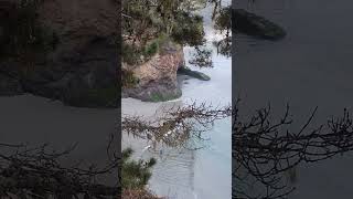 Mendocino California Headlands [upl. by Gothart]