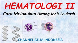 16 Hematologi Cara Melakukan Hitung Jenis Leukosit Diff Count [upl. by Yborian]